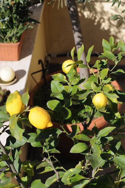 Aldebaran Bed and Breakfast Rome Buitenkant foto